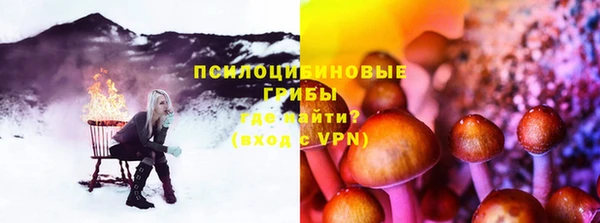 стафф Володарск