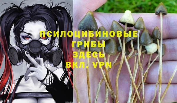 гидропоника Волосово