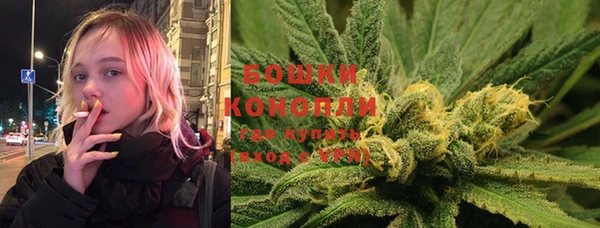 стафф Володарск